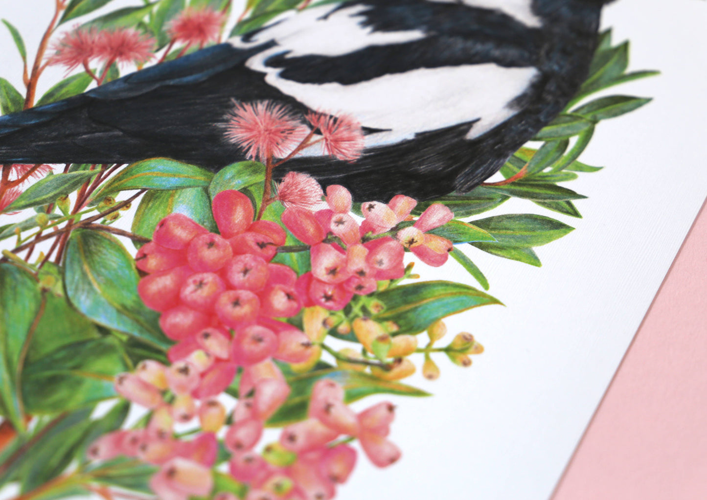 Australian Magpie Linen Art Print