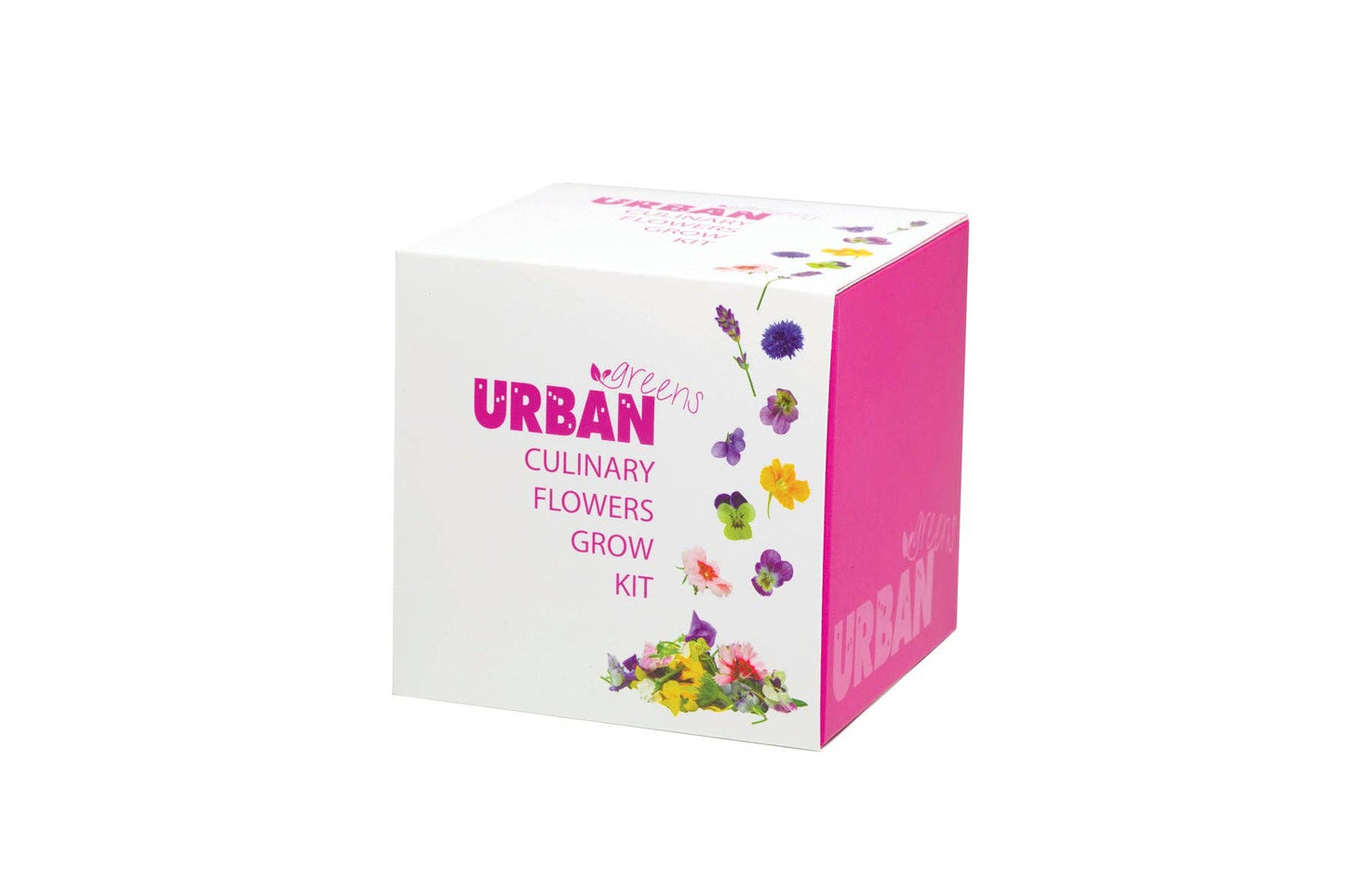 Culinary Flowers Grow Kit
