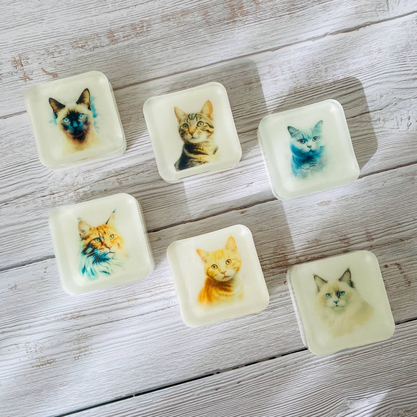 Handmade Artisan Soap | Domestic Shorthair (Tabby)