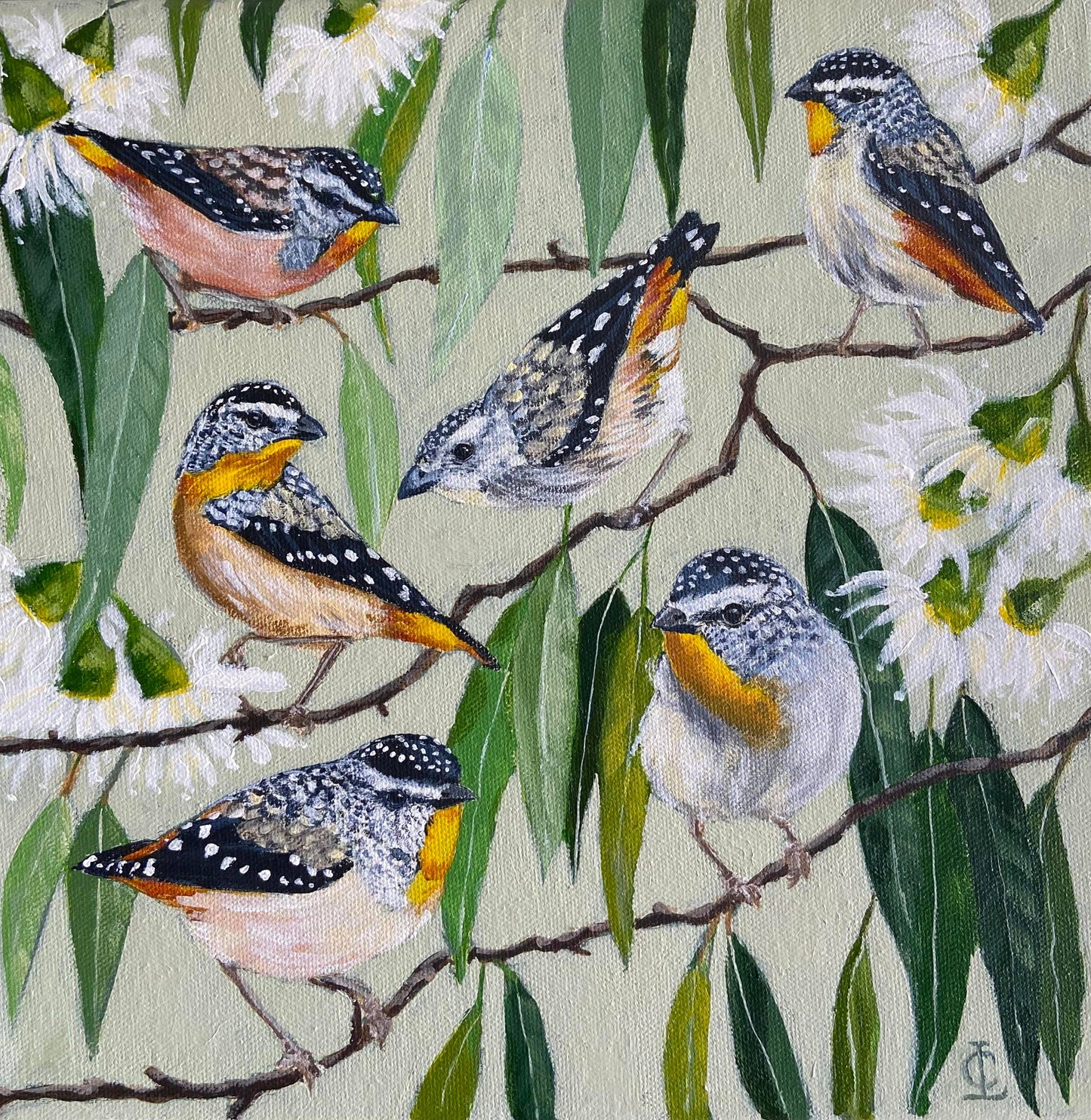 Pardalote Party Premium Greeting Card