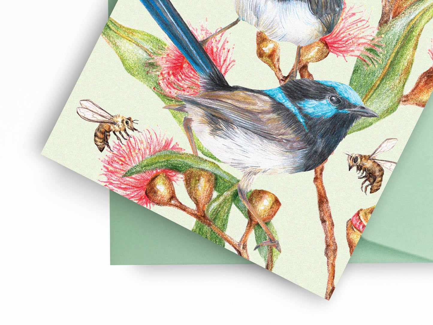 Superb Fairy-wrens Greeting Card