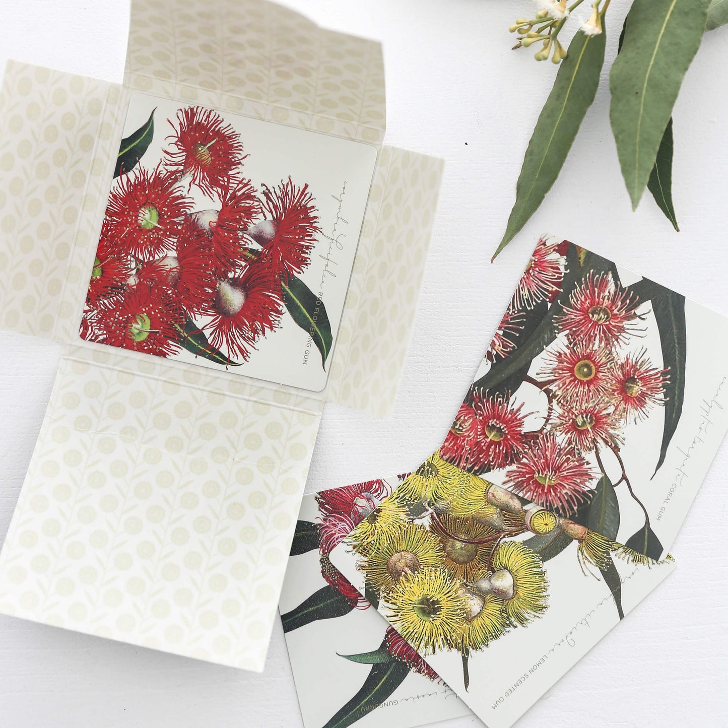 Bell Art Eucalyptus Drink Coasters. Made in Australia