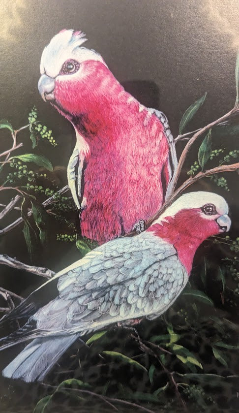 Art Cards by Kath Unsworth. Designed and Printed in Australia.