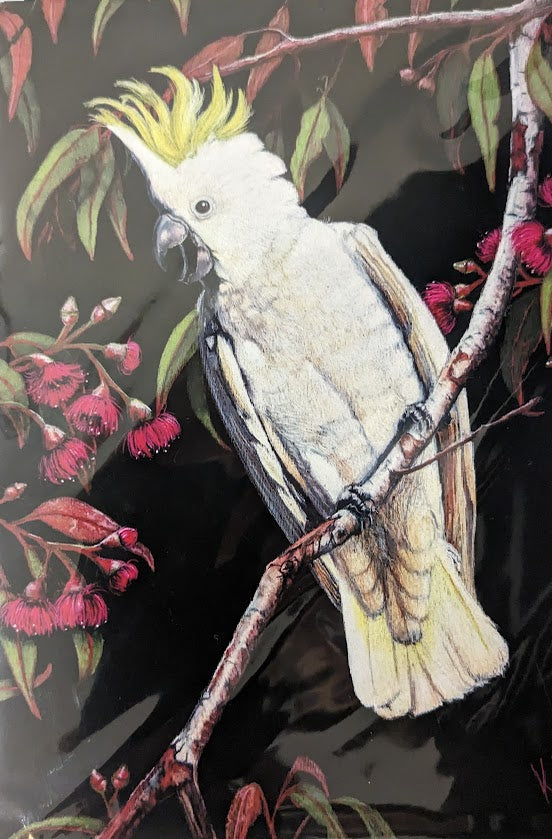 Art Cards by Kath Unsworth. Designed and Printed in Australia.