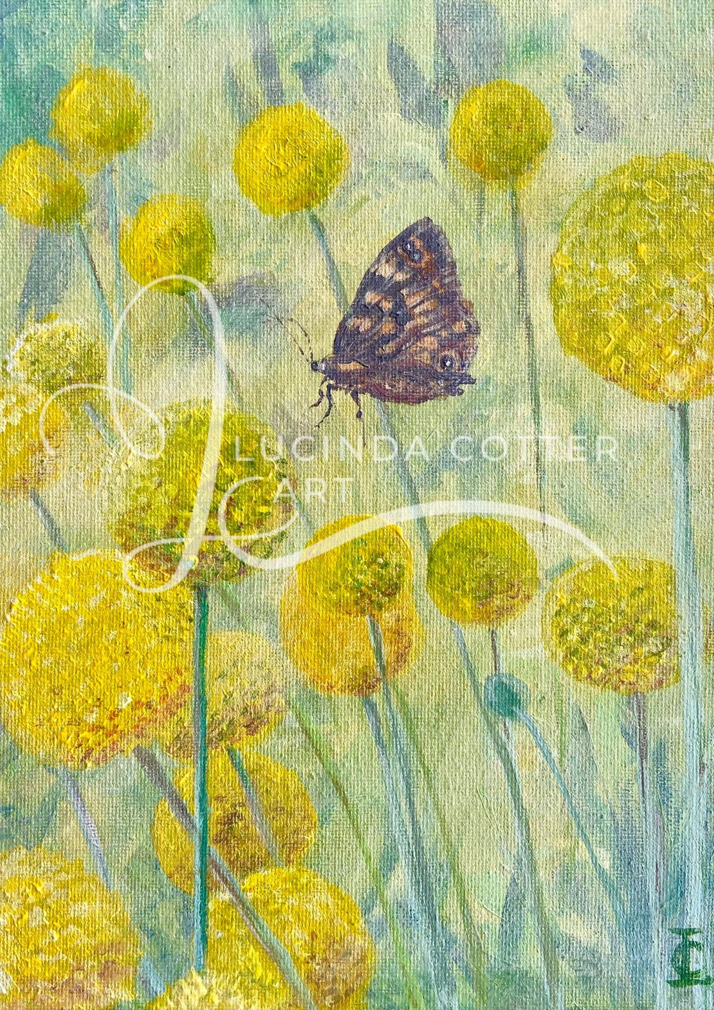 Billy Buttons and Brown Butterfly Greeting Card
