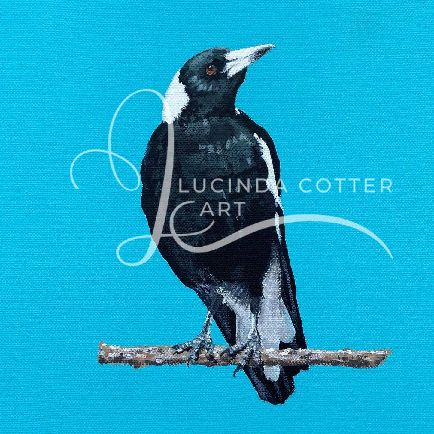 Blue Magpie Premium Greeting Card