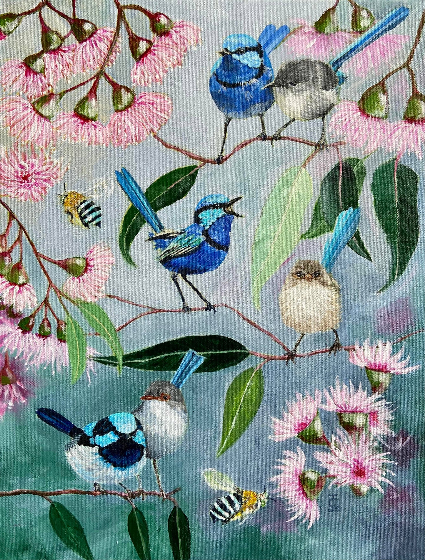 Fairy Wrens & Gum Blossoms Greeting Card