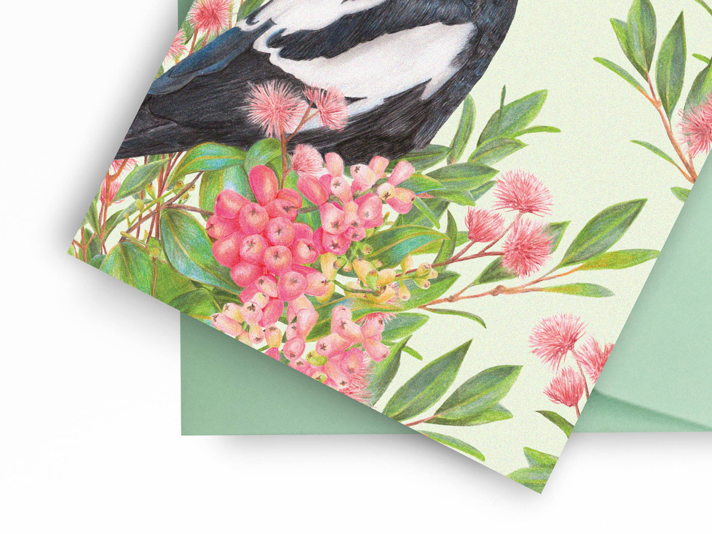 Australian Magpie Greeting Card Green bground