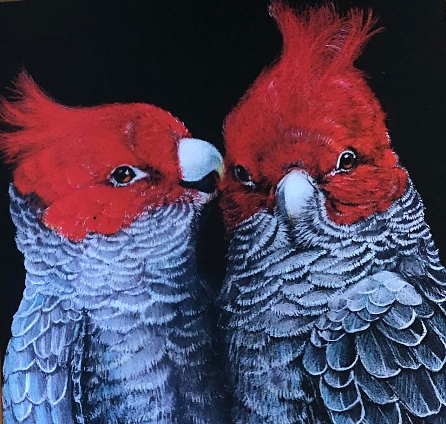 Art Cards by Kath Unsworth. Designed and Printed in Australia.