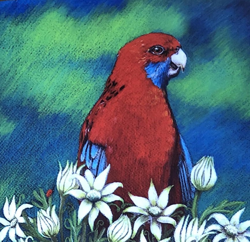 Art Cards by Kath Unsworth. Designed and Printed in Australia.