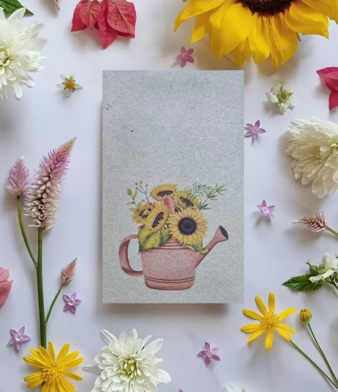 Sunflower Watering Can Pink - Sunflower Seeds