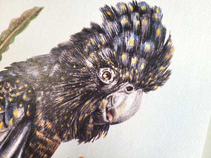 Red-tailed Black Cockatoo Linen Art Print