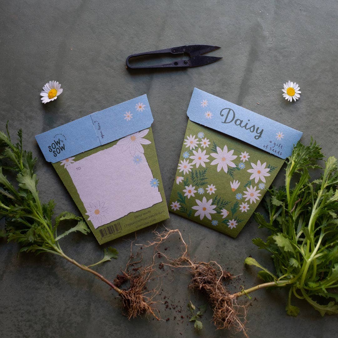 Daisy Gift of Seeds (Australia Only)