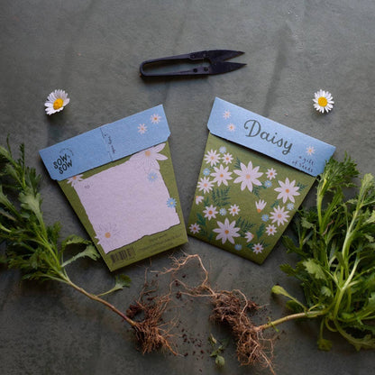 Daisy Gift of Seeds (Australia Only)