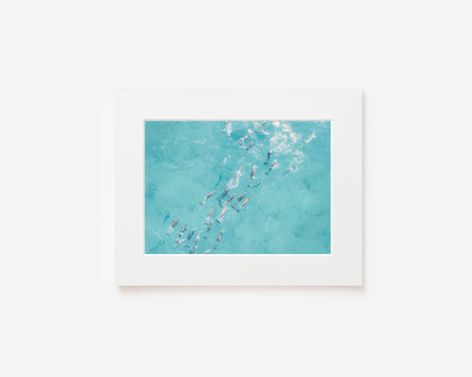 Playful Pod - Dolphin Photography Print