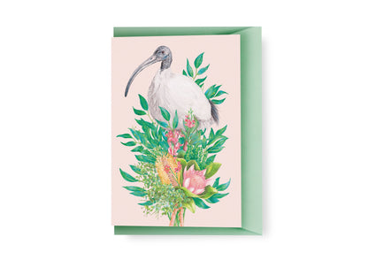 Bin Chicken (Australian White Ibis) Greeting Card