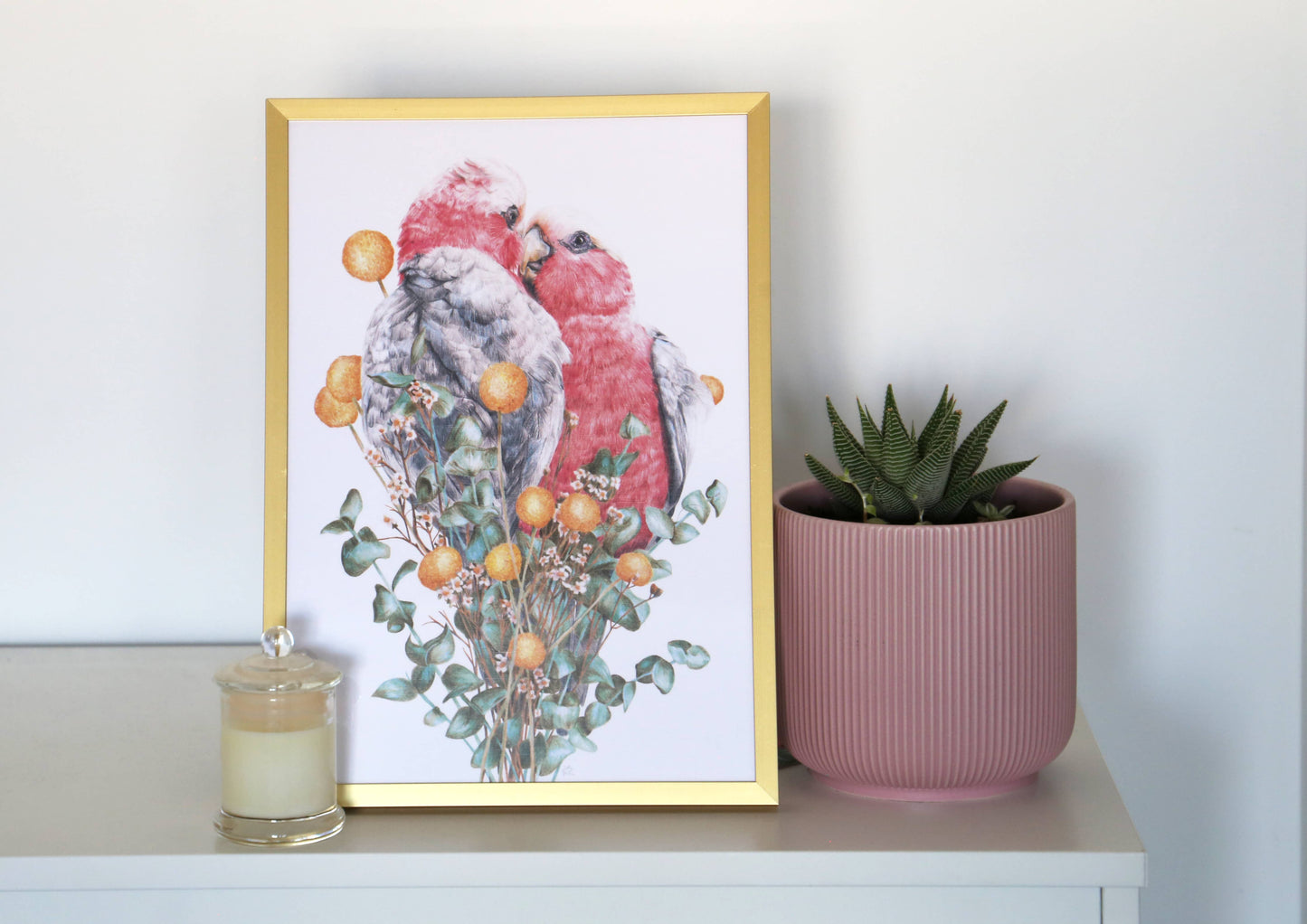 Galahs Art Print
