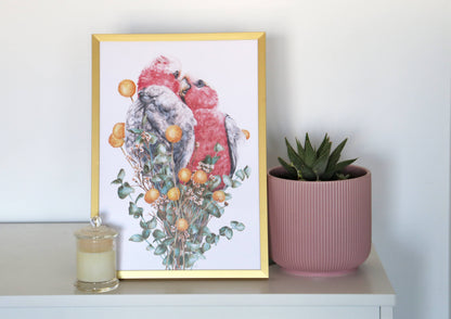 Galahs Art Print