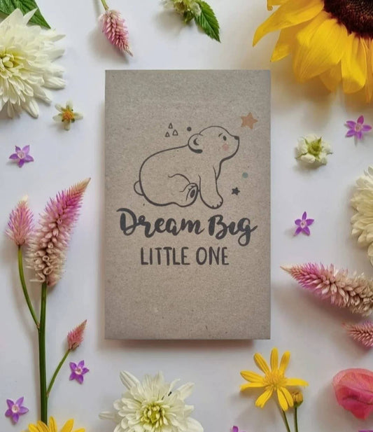 Dream Big Little One - Wildflower Seeds