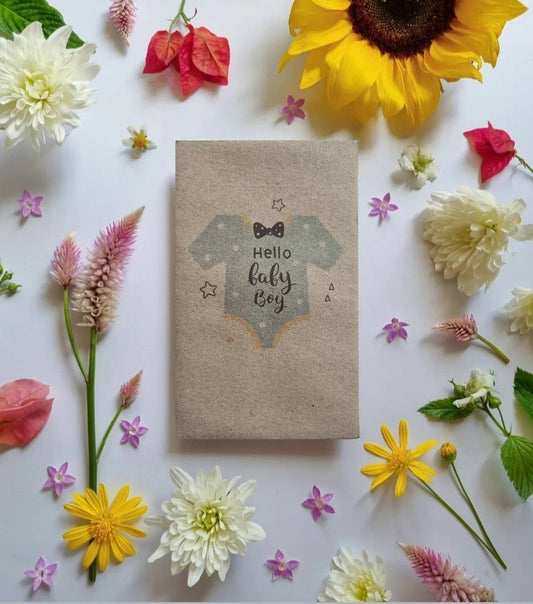 Hello Baby Boy - Flower Seeds