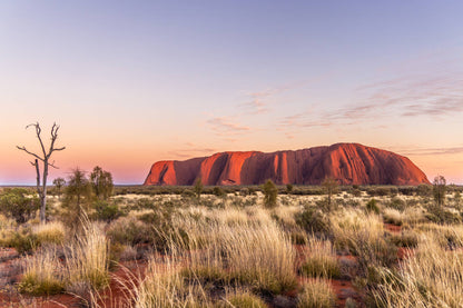 Sunrise Stage - Uluru Sunrise Photography Print