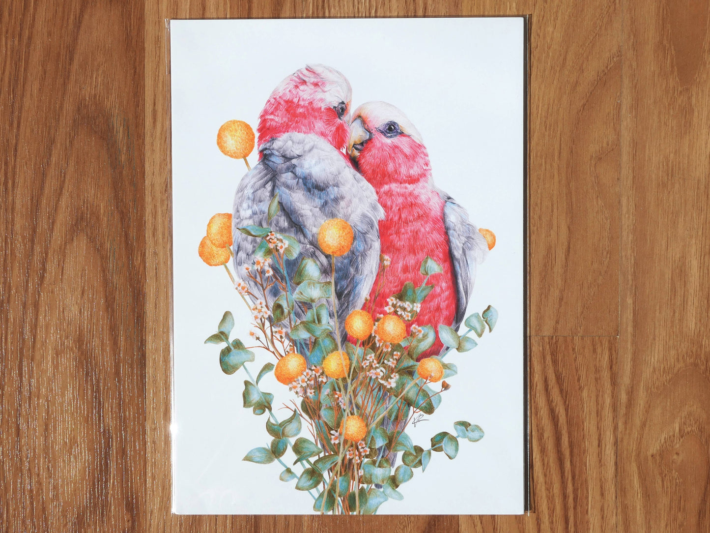 Galahs Art Print