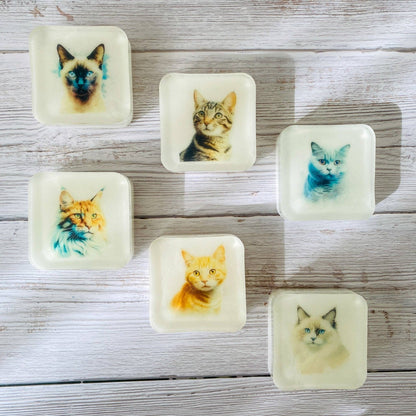 Handmade Artisan Soap | Domestic Shorthair (Ginger)