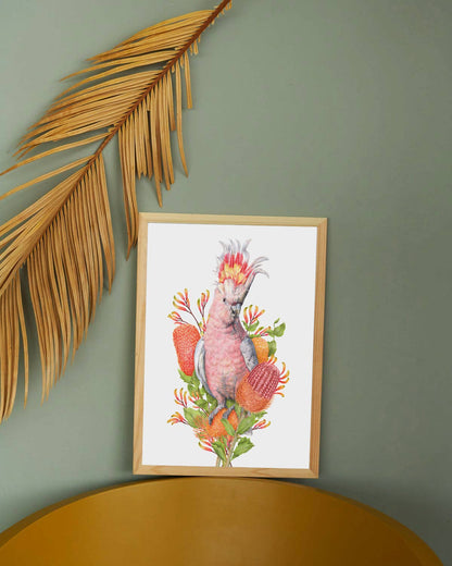 Pink Cockatoo Art Print