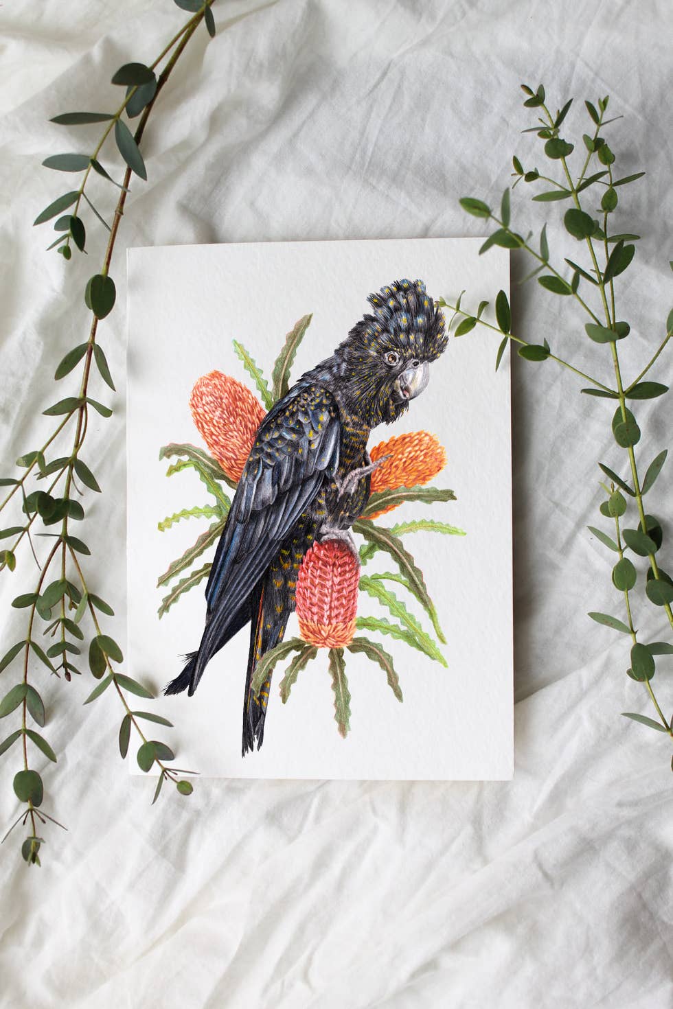 Red-tailed Black Cockatoo Linen Art Print