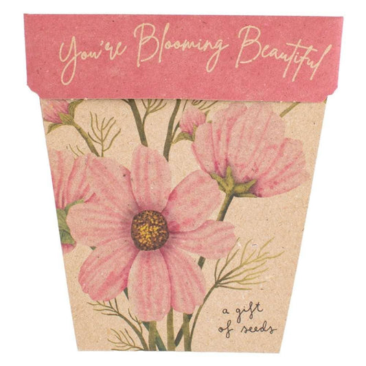 Blooming Beautiful Gift of Seeds (Australia Only)