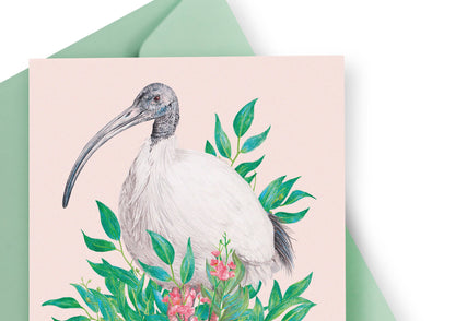 Bin Chicken (Australian White Ibis) Greeting Card