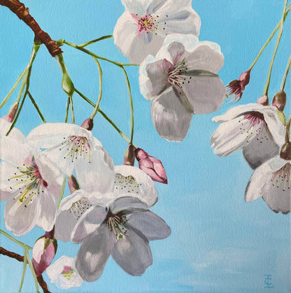 Beautiful White Blossoms Premium Greeting Card