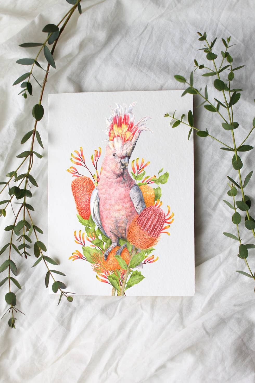 Pink Cockatoo Art Print
