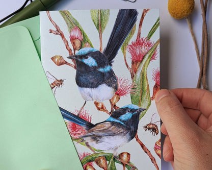Superb Fairy-wrens Greeting Card