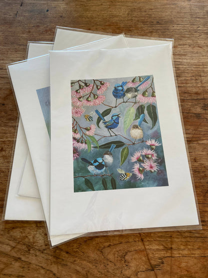 Fairy Wrens Poster Print A3