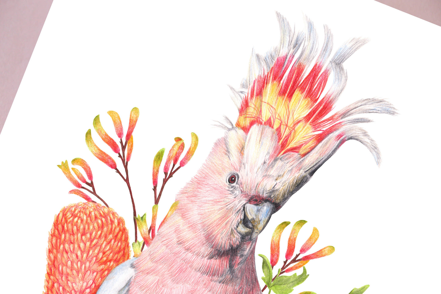 Pink Cockatoo Art Print