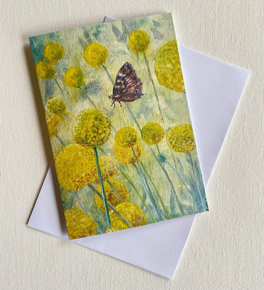 Billy Buttons and Brown Butterfly Greeting Card
