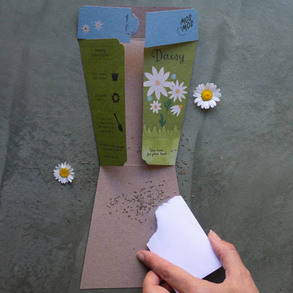 Daisy Gift of Seeds (Australia Only)