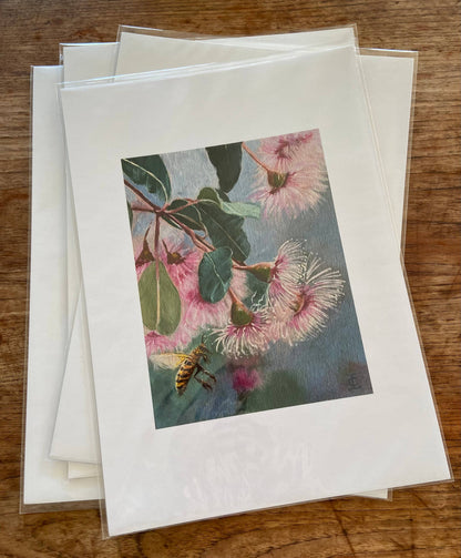 Gum Blossoms and Honeybee Poster Print A3
