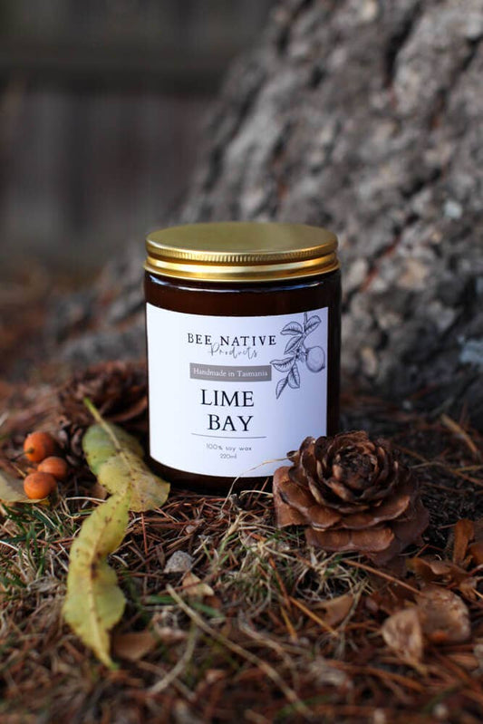 Lime bay soy candle