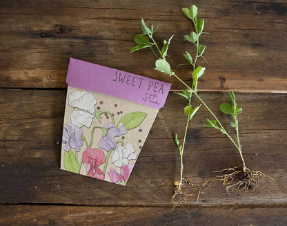 Sweet Pea Gift of Seeds (Australia Only)