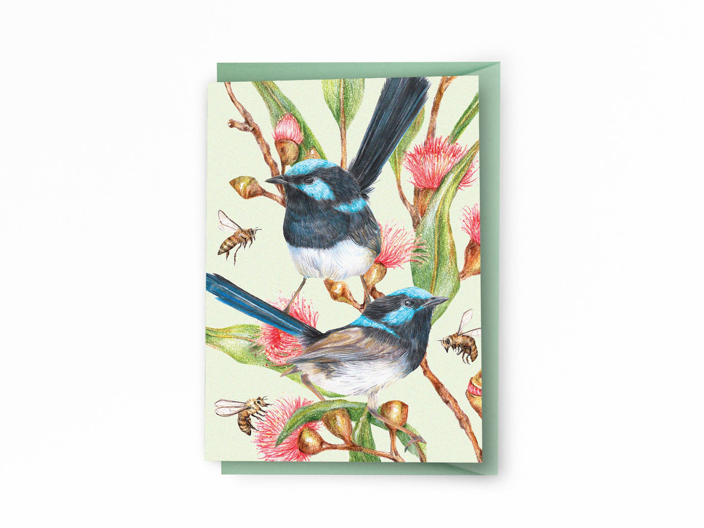 Superb Fairy-wrens Greeting Card