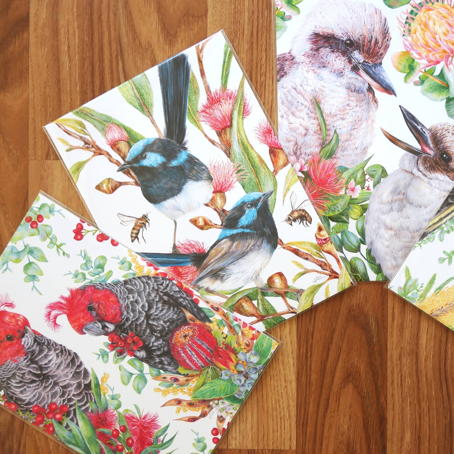 Superb Fairy-wrens - 'Blooming Hues' Art Print