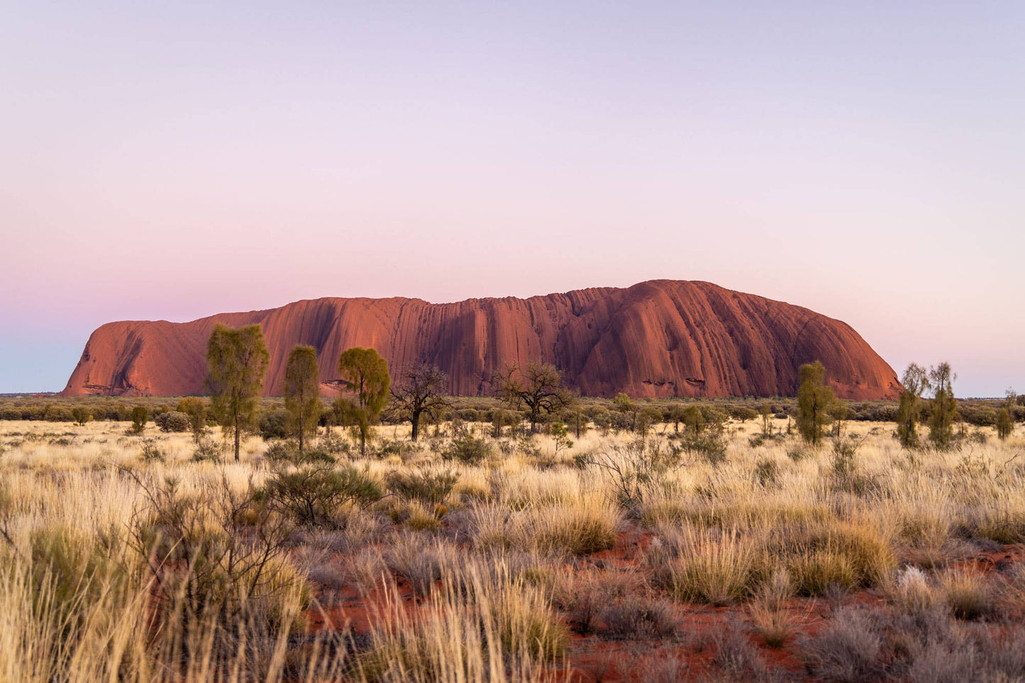 Whispers of an Outback Sunrise - Uluru Photography Print