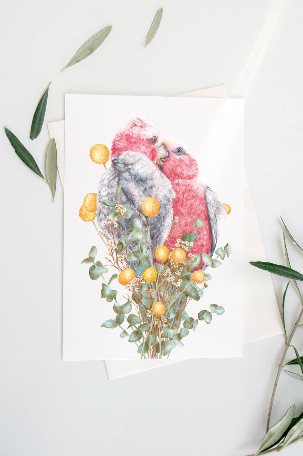 Galahs Art Print