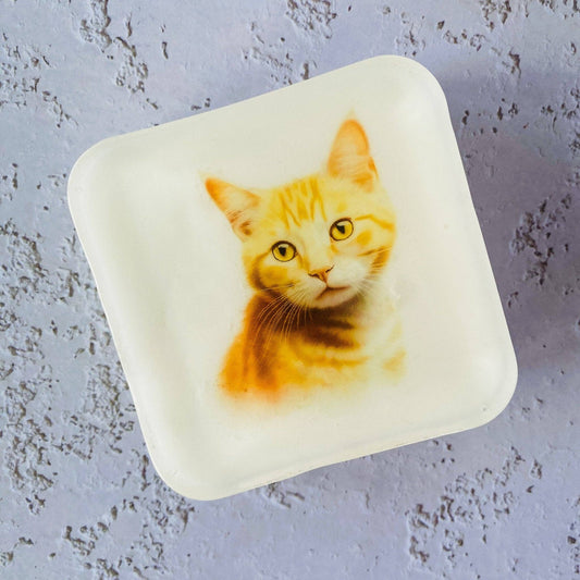 Handmade Artisan Soap | Domestic Shorthair (Ginger)