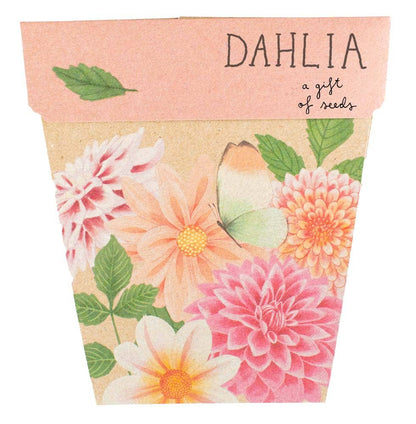 Dahlia Gift of Seeds (Australia Only)