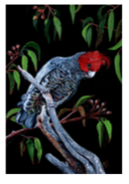 Art Cards by Kath Unsworth. Designed and Printed in Australia.
