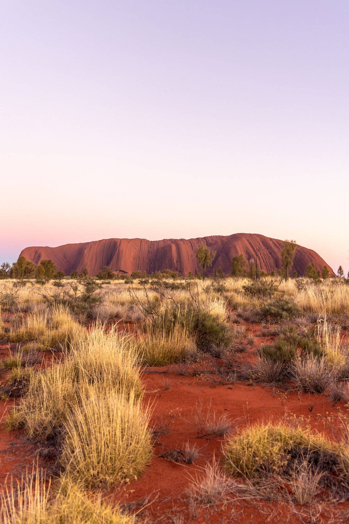Ancient Dawn - Uluru Sunrise Photography Print