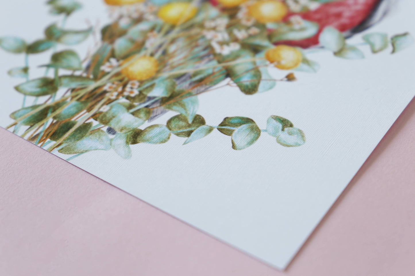 Galahs Art Print